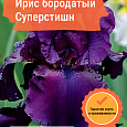 Ирис бородатый Суперстишн